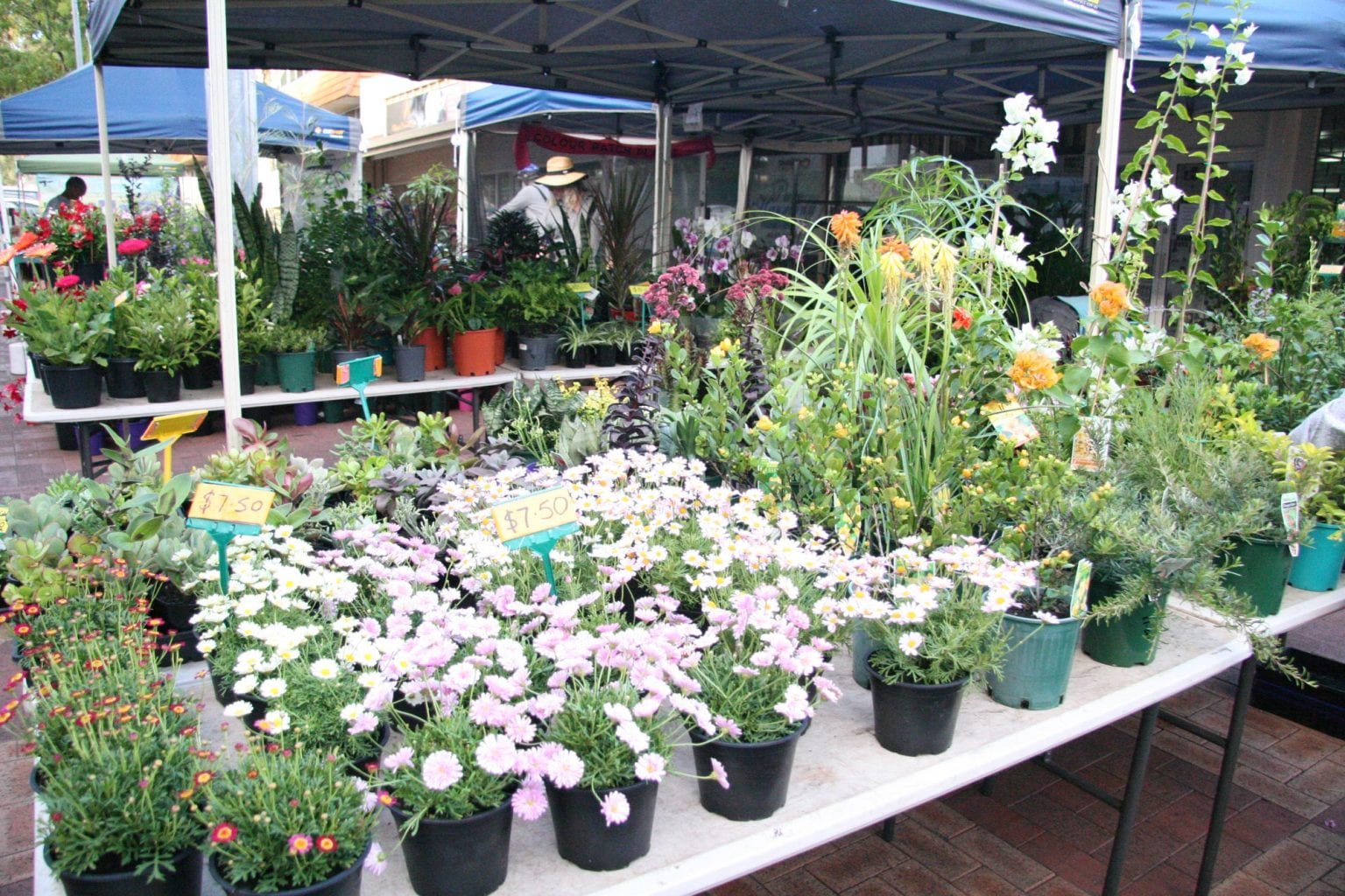 About Us – Kalamunda Farmers Market